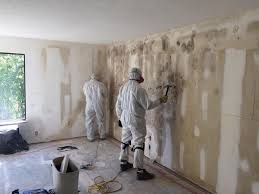 Best Dehumidification Services  in Effingham, IL